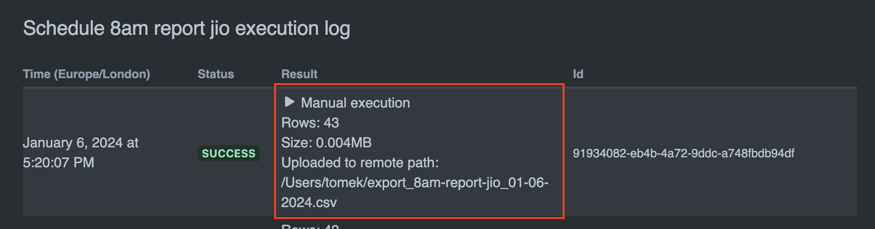 Example of manual report execution in the execution log
